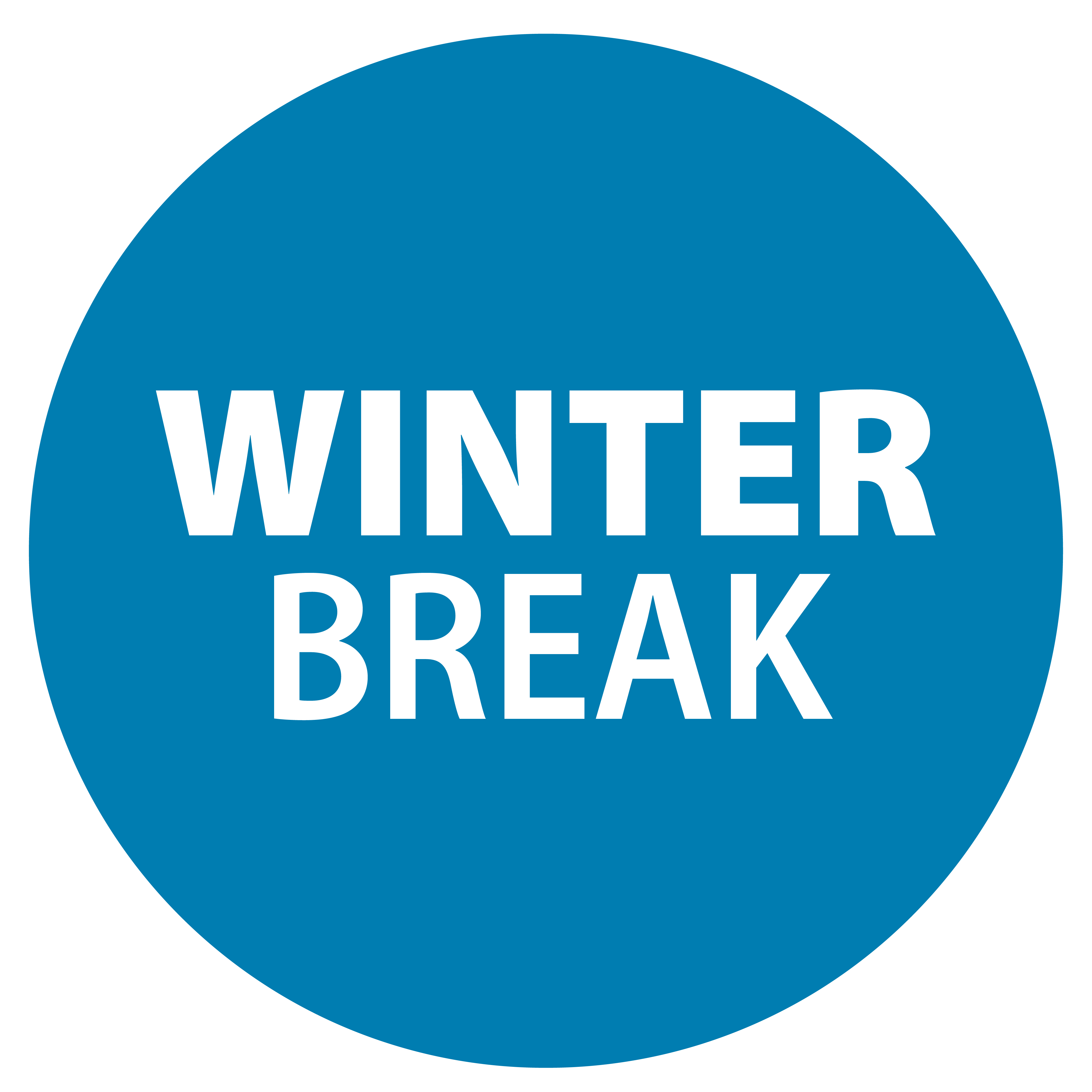 Winter Break Camps